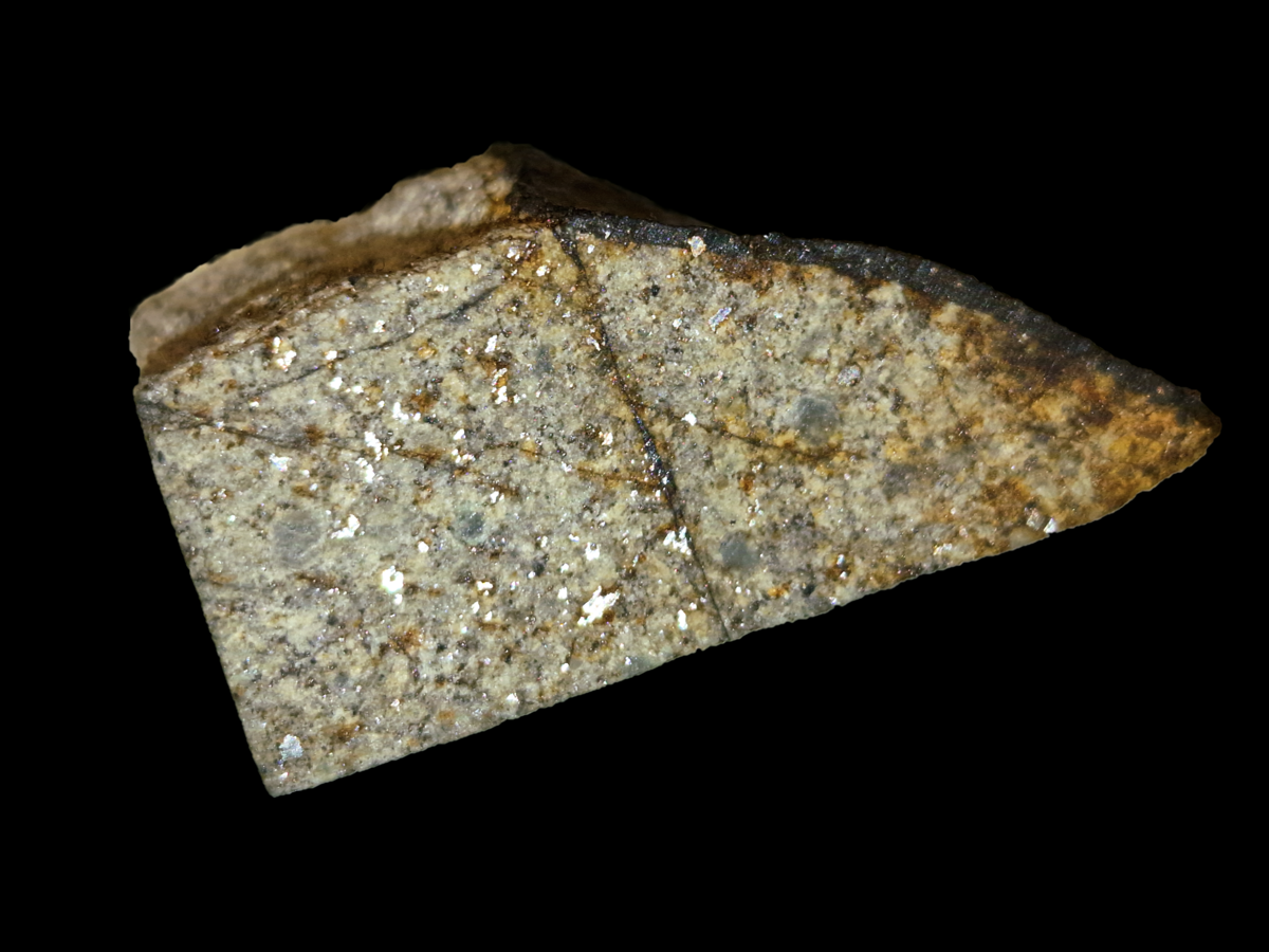 Biržu (Buschhof) meteorīta fragments. Izmērs: 26 mm x 11 mm x 13 mm. Svars: 8,7 g. Attēlā redzami spīdīgi dzelzs un niķeļa sakausējuma ieslēgumi gaišākā silikātu matricā, kā arī daļa no tumšās kušanas garozas parauga augšdaļā.