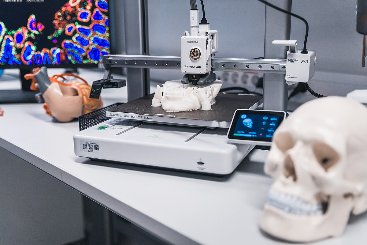 © Toms Grīnbergs, 2025. © Latvijas Universitāte, 2025.