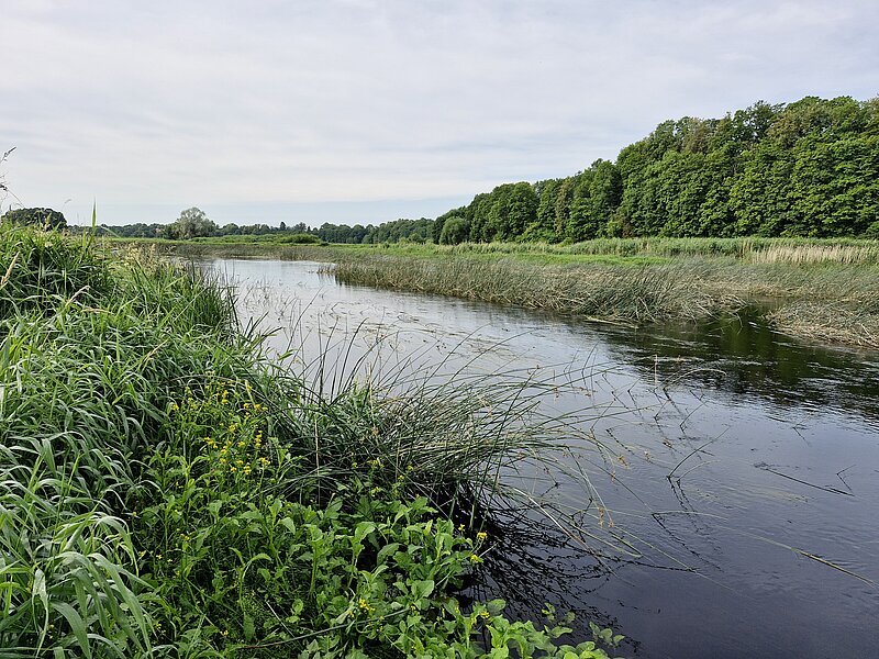 Piedalies aptaujā par ūdeņu kvalitāti Latvijā