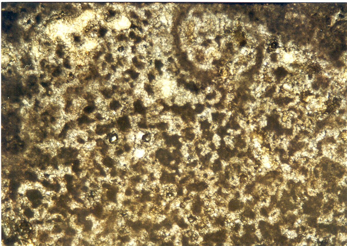 2. att. Travertīna paraugs no Brīvības pieminekļa, kur fiksēta dēdējusi virsma un ar piesārņotu poru telpu. Foto: V. Hodireva 2. att. Travertīna paraugs no Brīvības pieminekļa, kur fiksēta dēdējusi virsma un ar piesārņotu poru telpu. Foto: V. Hodireva