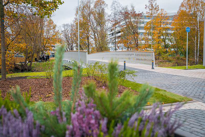 Aicina piedalīties rudens zibakcijā "Viena diena Latvijā"