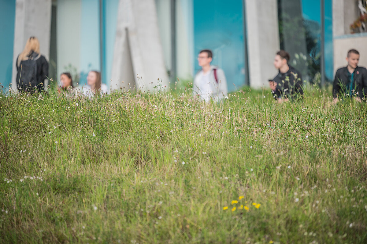 © Foto: Toms Grīnbergs, Latvijas Universitātes Komunikācijas un inovāciju departaments
