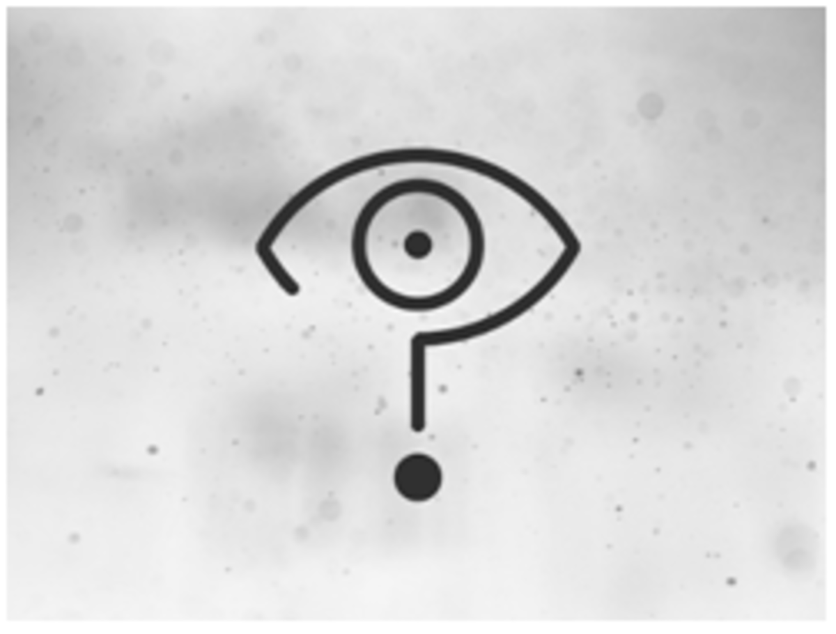 https://images.modelviewculture.com/wp-content/uploads/2016/03/16223828/lewis_eye.jpg