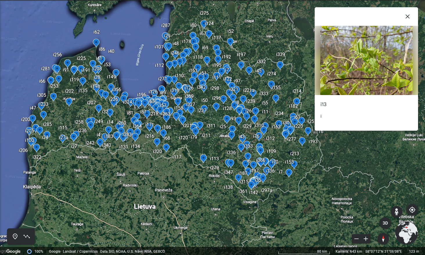 Ekrānšāviņš no izveidotā ievas pavasara profila vietnē "Google Earth".